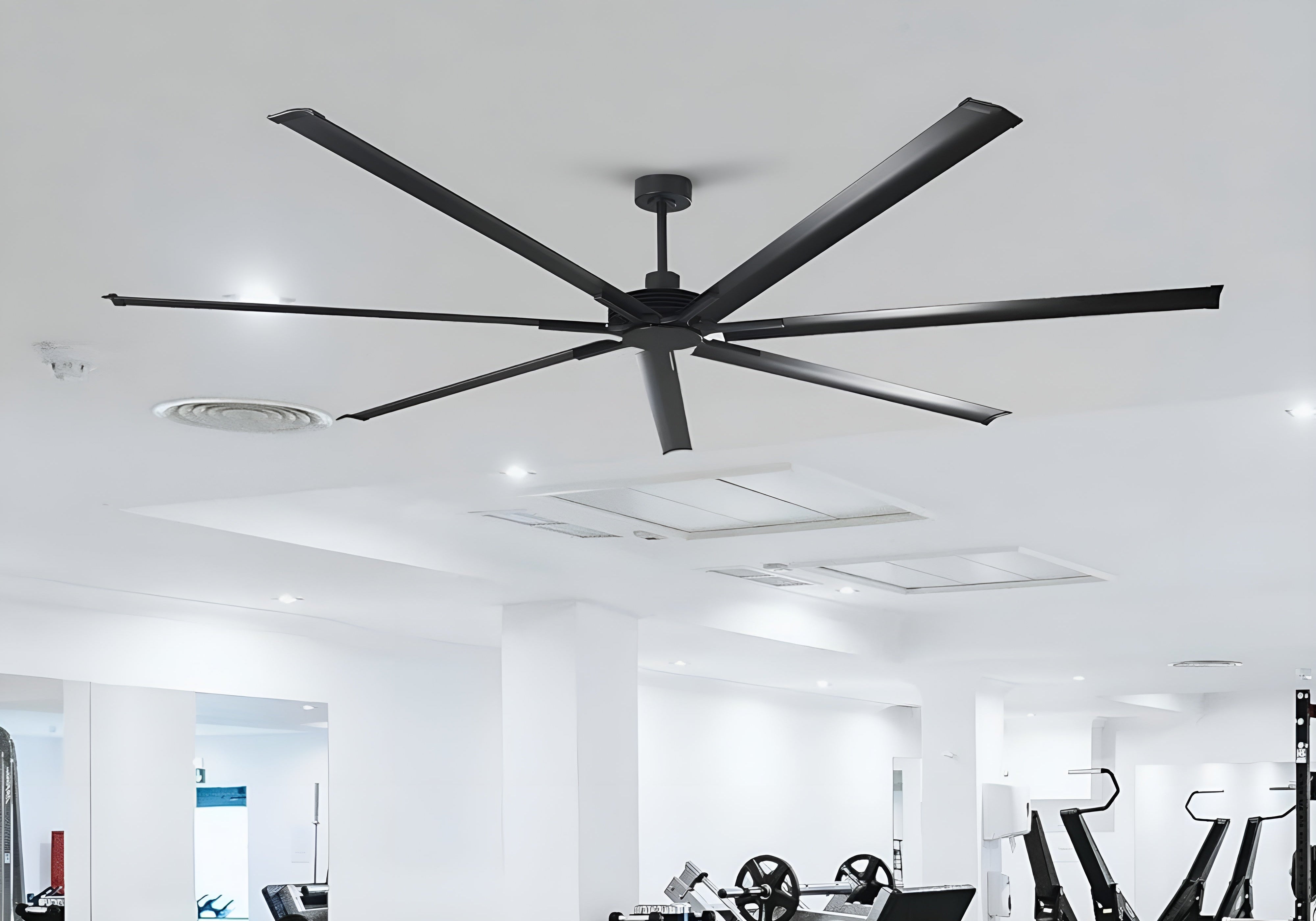 How to Choose Large Ceiling Fans for Warehouses and Commercial Spaces？ - Parrot Uncle DE
