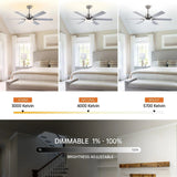 60" Lucknow Modern Ceiling Fan with Lighting and Remote Control