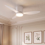 Ventilateur de plafond Sierra à moteur CC ultra-silencieux Ø132 cm avec éclairage LED 
