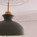 Glass Hemp rope textured Pendant Light 33 cm Diameter (Copy)