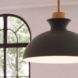 Glass Hemp rope textured Pendant Light 33 cm Diameter (Copy)