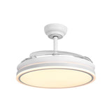 Serena Ultra-Quiet DC Motor Ceiling Fan Ø100 cm with 3 Retractable Blades and LED Light