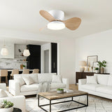 Almaga geräuschloser Deckenventilator 61 cm (24”) mit LED-Licht 