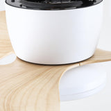 Almaga geräuschloser Deckenventilator 61 cm (24”) mit LED-Licht 