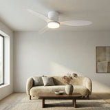 Whisper-Quiet 28W DC Ceiling Fan Ø132cm