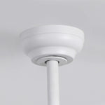 Raydon Ultra-Quiet DC Motor Ceiling Fan Ø91 cm with Retractable Blades and LED Light