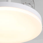 Raydon Ultra-Quiet DC Motor Ceiling Fan Ø106 cm with Retractable Blades and LED Light