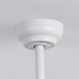Raydon Ultra-Quiet DC Motor Ceiling Fan Ø106 cm with Retractable Blades and LED Light