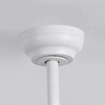 Raydon Ultra-Quiet DC Motor Ceiling Fan Ø106 cm with Retractable Blades and LED Light