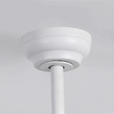Raydon Ultra-Quiet DC Motor Ceiling Fan Ø106 cm with Retractable Blades and LED Light