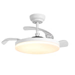 Raydon Ultra-Quiet DC Motor Ceiling Fan Ø106 cm with Retractable Blades and LED Light