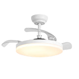 Raydon Ultra-Quiet DC Motor Ceiling Fan Ø106 cm with Retractable Blades and LED Light