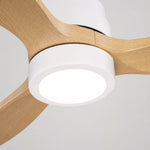 Brisa Ceiling Fan 132cm (52") with LED Light Ultra-Quiet DC Motor