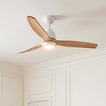 Brisa Ceiling Fan 132cm (52") with LED Light Ultra-Quiet DC Motor
