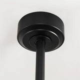 65 Inch Teresa Modern Double-sided Blades Ceiling Fan with Remote Control and LED Light