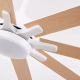 65 Inch Teresa Modern Double-sided Blades Ceiling Fan with Remote Control and LED Light
