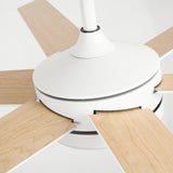 60" Volga DC Motor 6 Blades Modern Downrod Mount Ceiling Fan with Remote Control