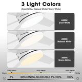 60" Volga DC Motor 6 Blades Modern Downrod Mount Ceiling Fan with Remote Control